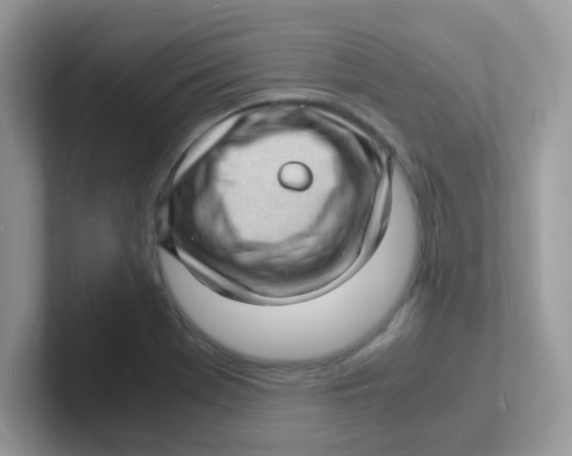 X0000101481369200807281031