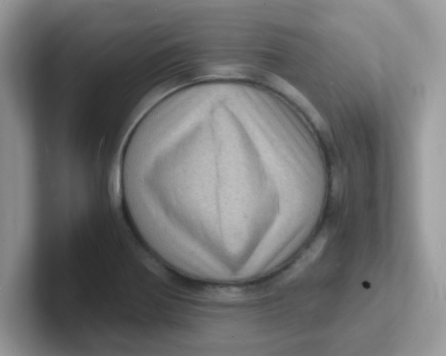 X0000101481370200807281031