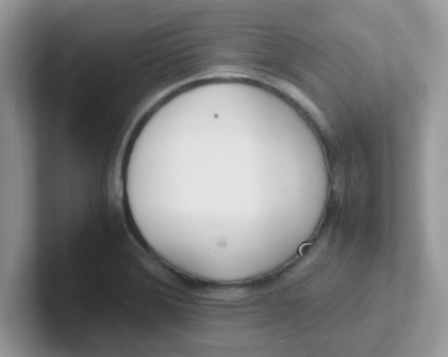 X0000101481372200807281031