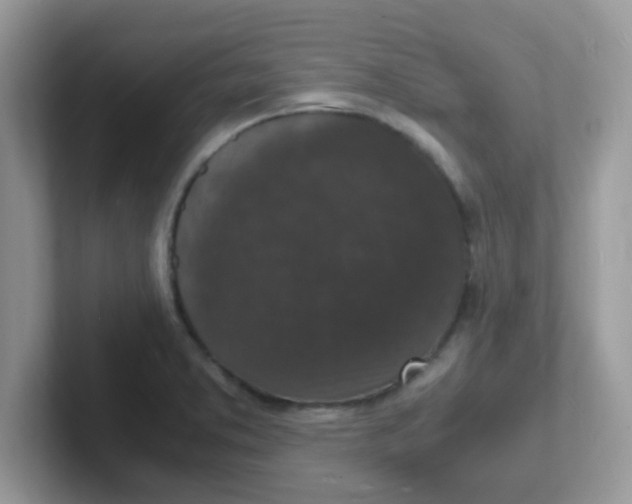 X0000101481373200807281031