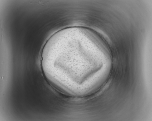 X0000101481374200807281031