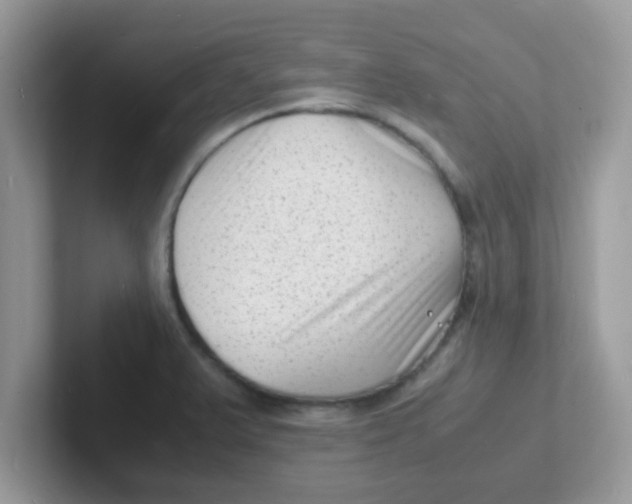 X0000101481375200807281031