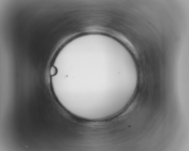 X0000101481376200807281031