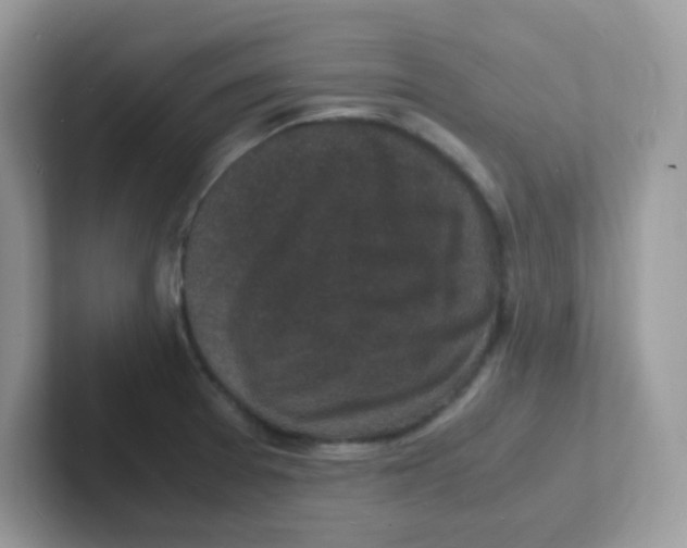 X0000101481377200807281031