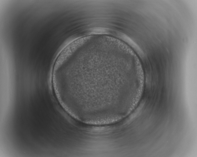 X0000101481378200807281031