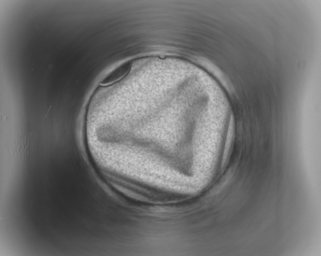 X0000101481379200807281031