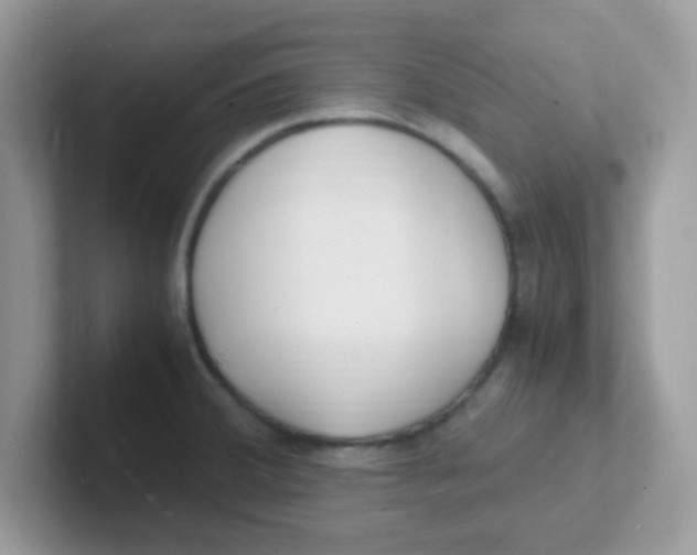 X0000101481380200807281031