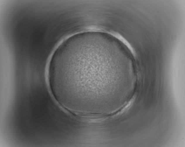 X0000101481381200807281031