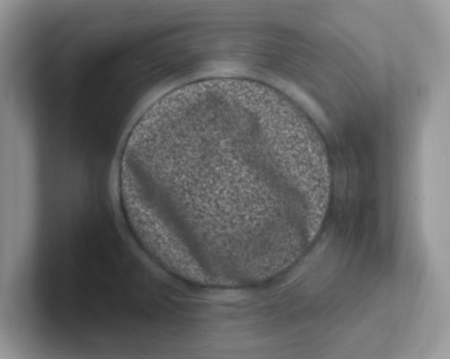 X0000101481382200807281031