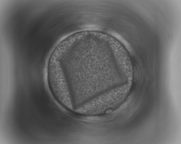 X0000101481383200807281031