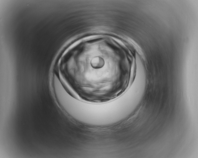 X0000101481384200807281031