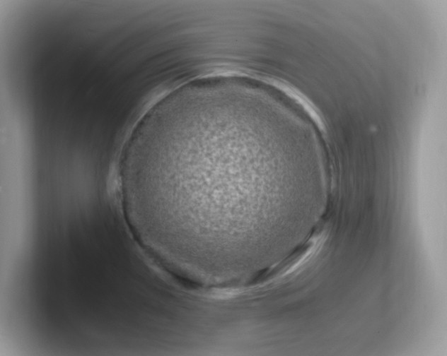 X0000101481385200807281031