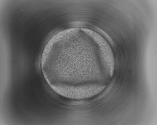 X0000101481386200807281031