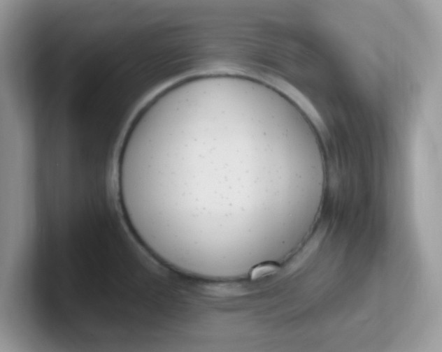 X0000101481388200807281031