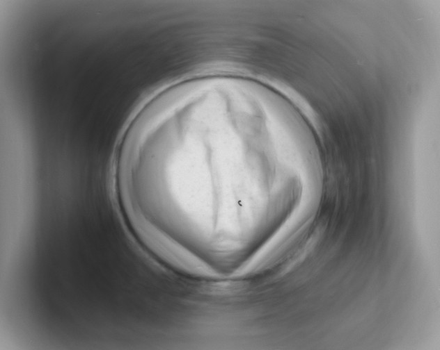 X0000101481390200807281031