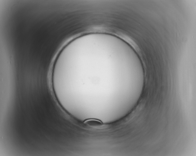 X0000101481392200807281031