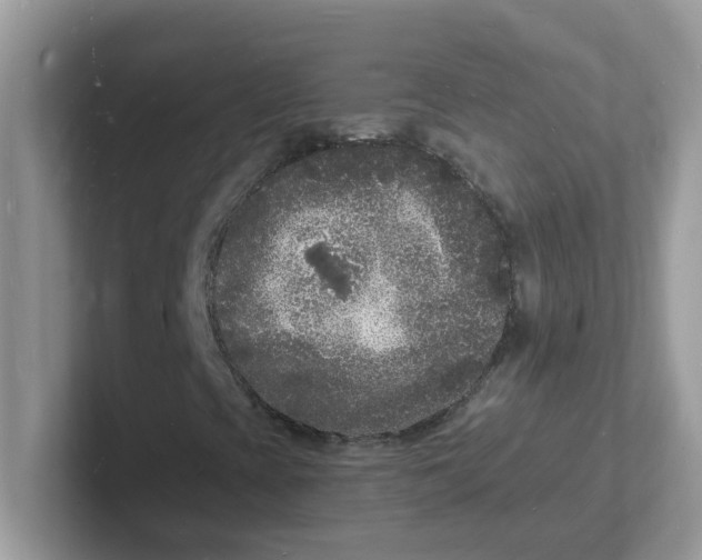 X0000101481393200807281030