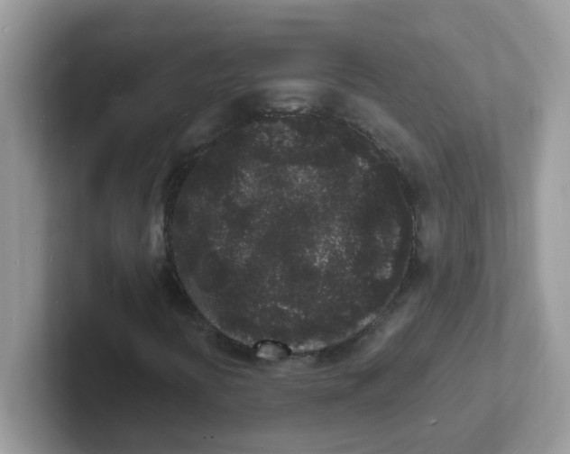 X0000101481394200807281030