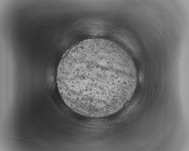 X0000101481396200807281030