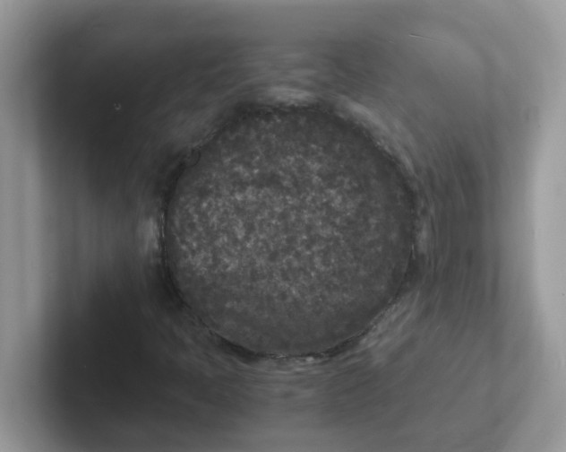 X0000101481397200807281030