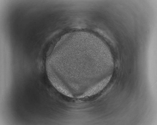 X0000101481398200807281030