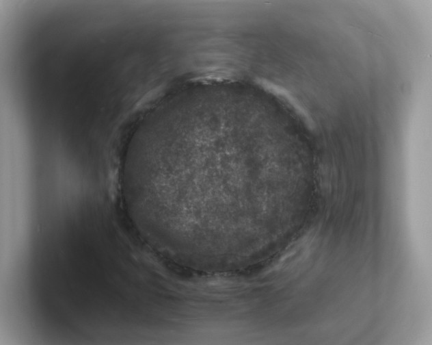 X0000101481399200807281030