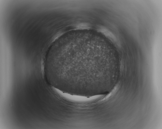 X0000101481401200807281030