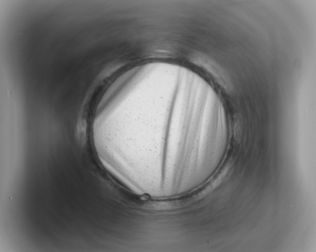 X0000101481402200807281030