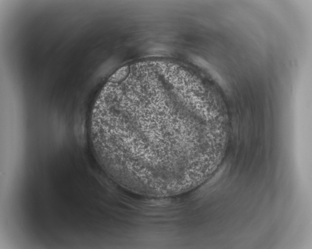 X0000101481403200807281030