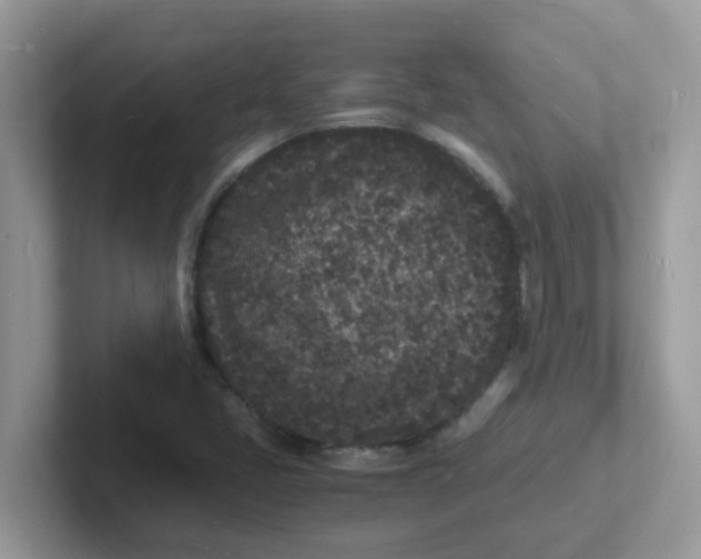 X0000101481405200807281030