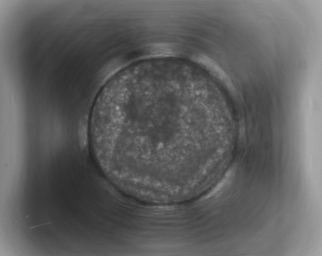 X0000101481409200807281030