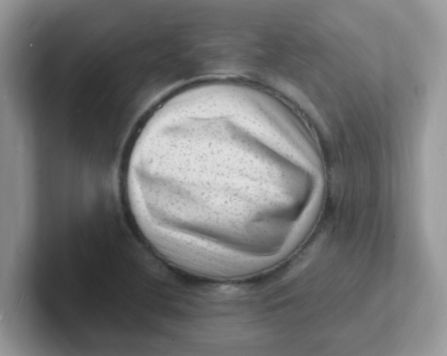 X0000101481412200807281030