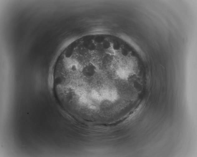 X0000101481413200807281030