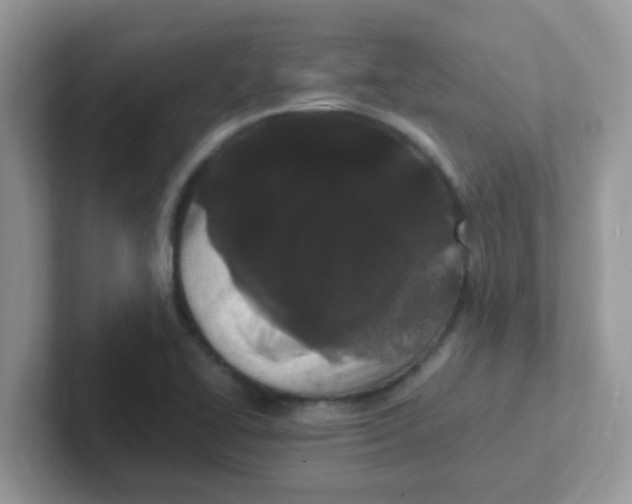 X0000101481414200807281030