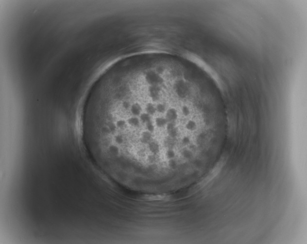 X0000101481415200807281030