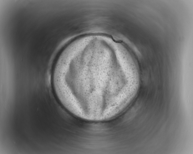 X0000101481416200807281030