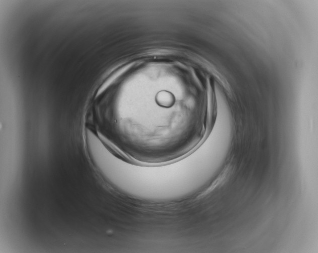 X0000101481417200807281030