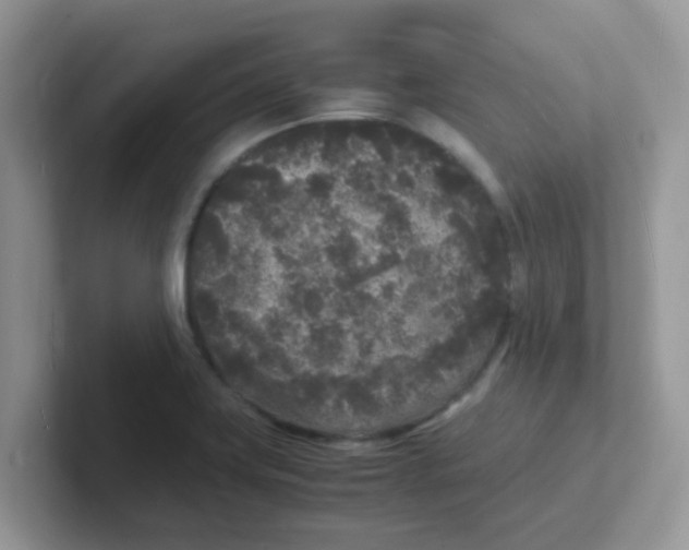 X0000101481419200807281030