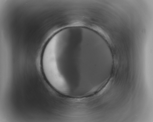 X0000101481422200807281030