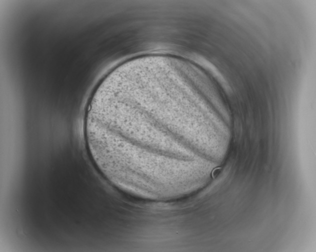 X0000101481424200807281030