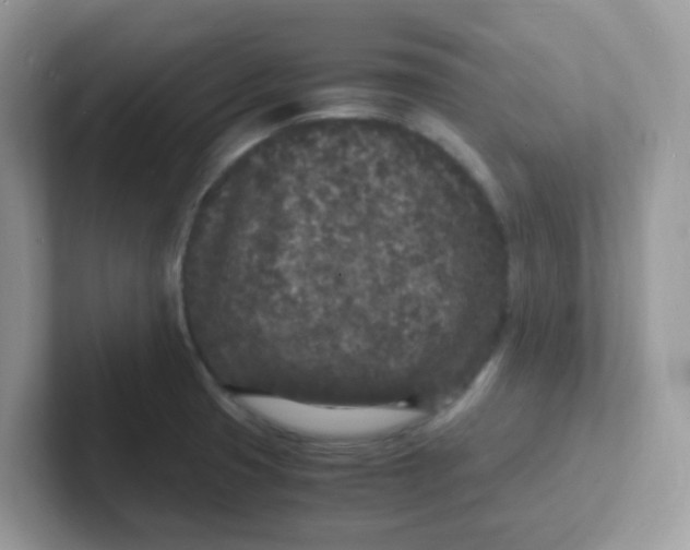 X0000101481425200807281030