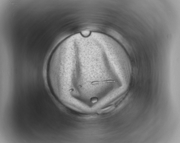 X0000101481426200807281030