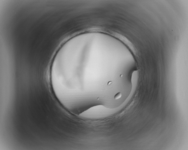 X0000101481428200807281030