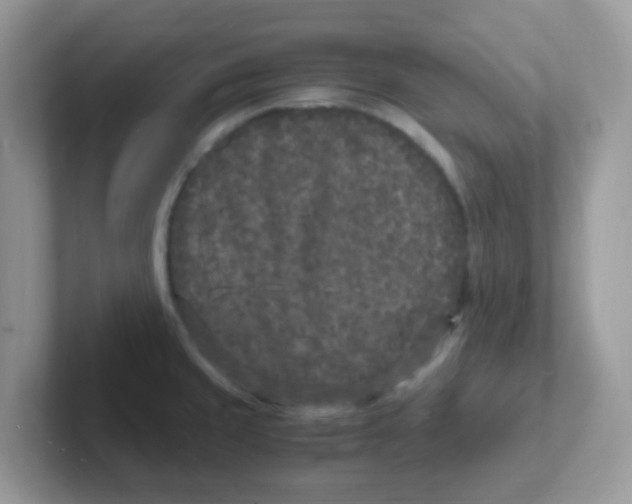 X0000101481429200807281030