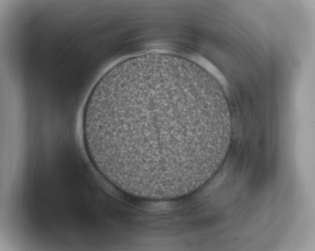 X0000101481431200807281030