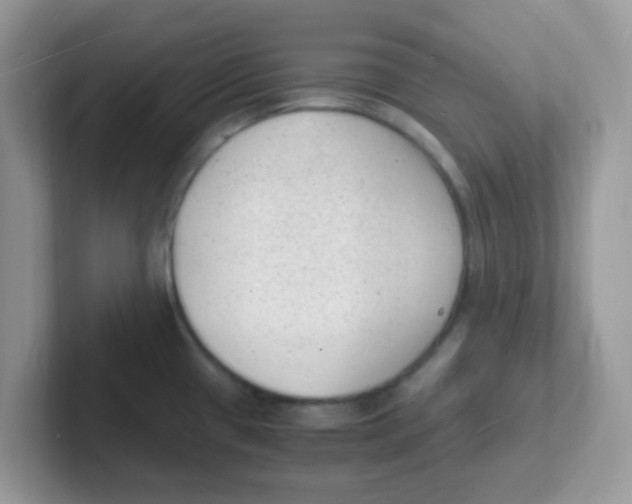 X0000101481433200807281030