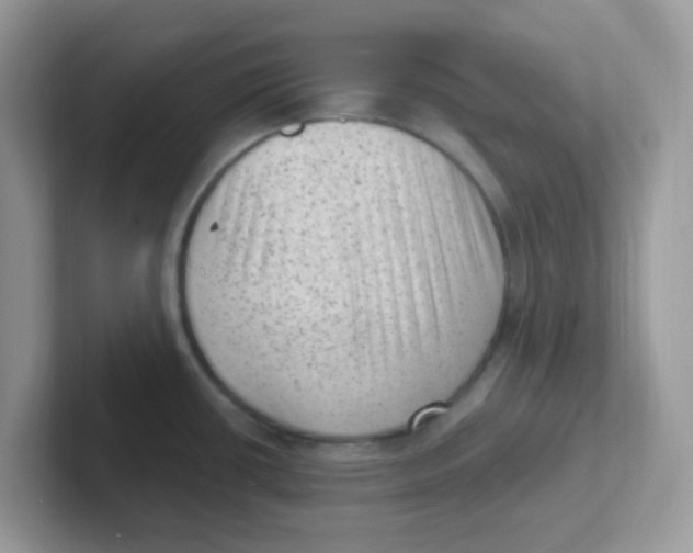 X0000101481434200807281030