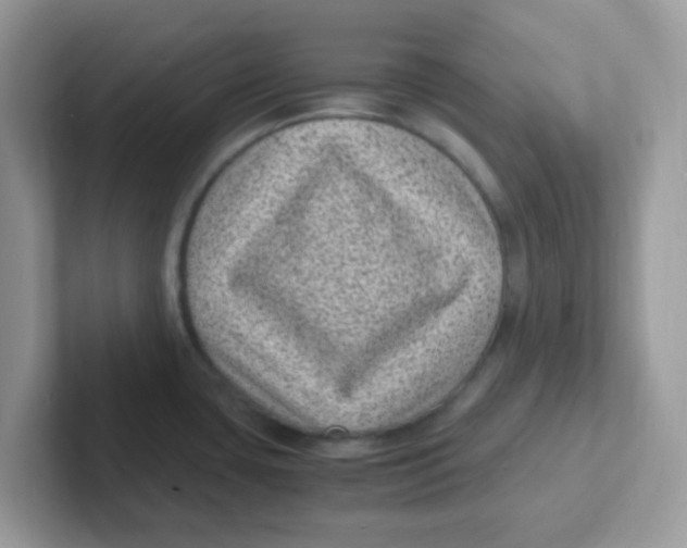 X0000101481435200807281030