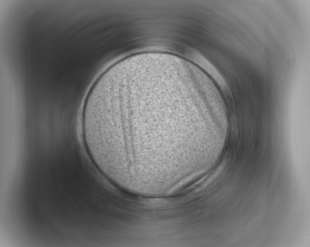 X0000101481436200807281030