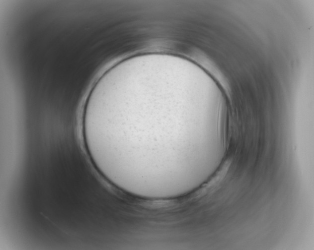 X0000101481437200807281030